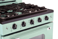 Classic Retro by Unique 30" Convection Gas Range - UGP-30CR LG 