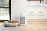 Cuisinart PuRXium Freestanding Air Purifier - CAP-1000C 