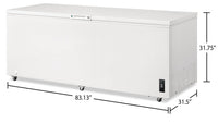 Frigidaire 24.8 Cu. Ft. Chest Freezer - FFCL2542AW 