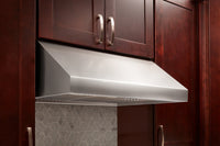 Thor Kitchen 30" Professional Under-Cabinet Range Hood - TRH3005  