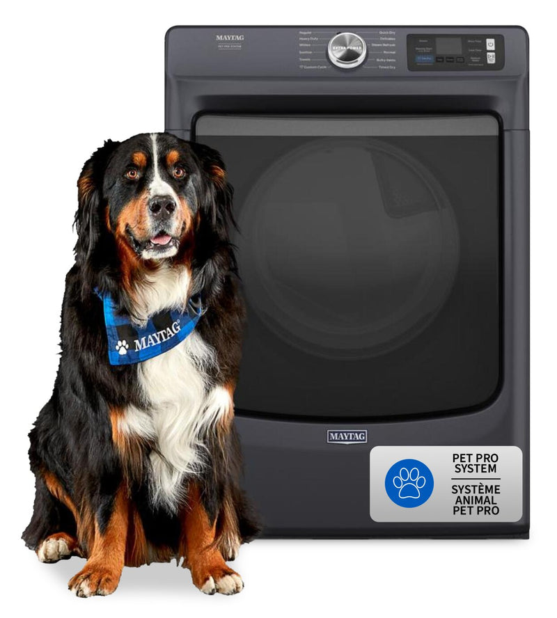 Maytag 7.4 Cu. Ft. Pet Pro Smart Gas Dryer - Midnight Steel - MGD7020RF | Sécheuse à gaz intelligente Pet Pro de 7,4 pi3 de Maytag - acier minuit - MGD7020RF | MGD7020R